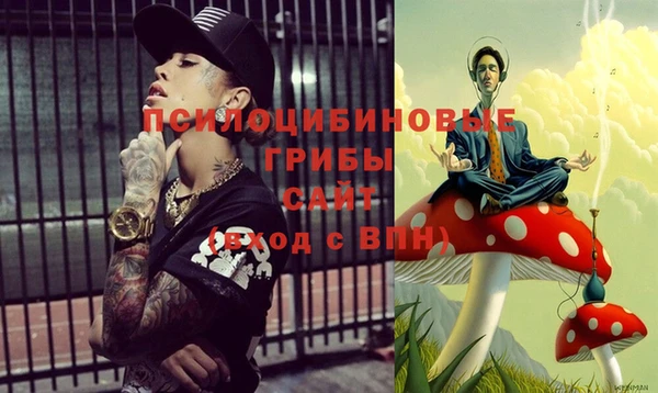 гашик Алзамай